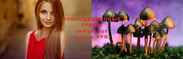 скорость Алексеевка